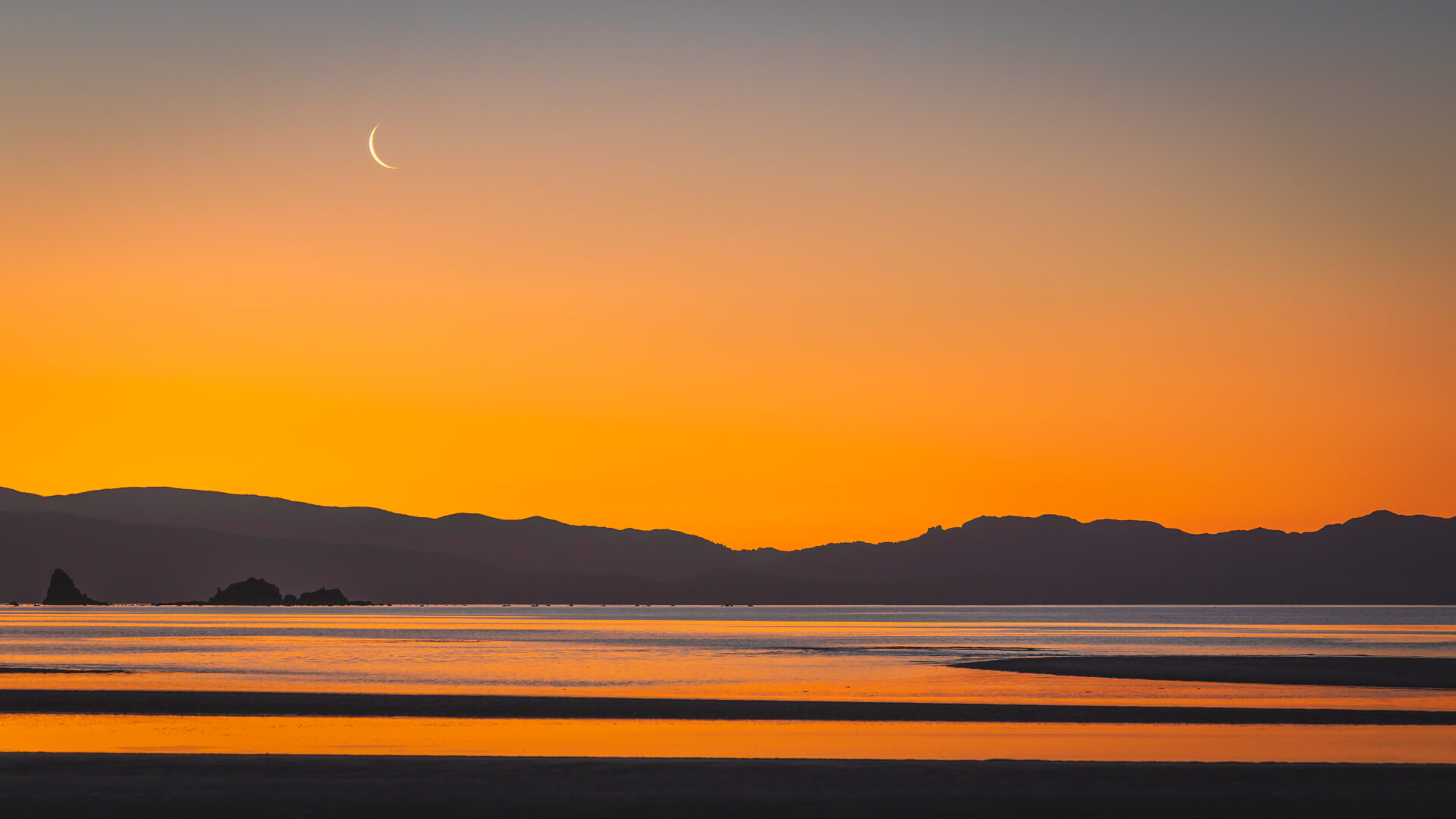 Honour For Digital Wainui Bay By Bruce McDonald