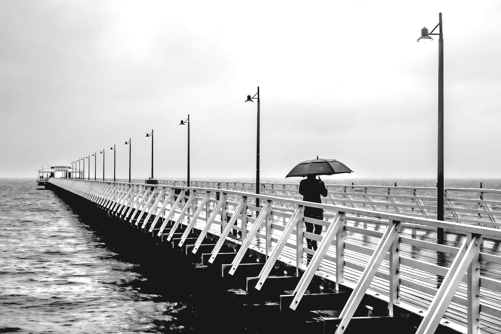 1st For Digital Peering Into The Gloom By John Langer