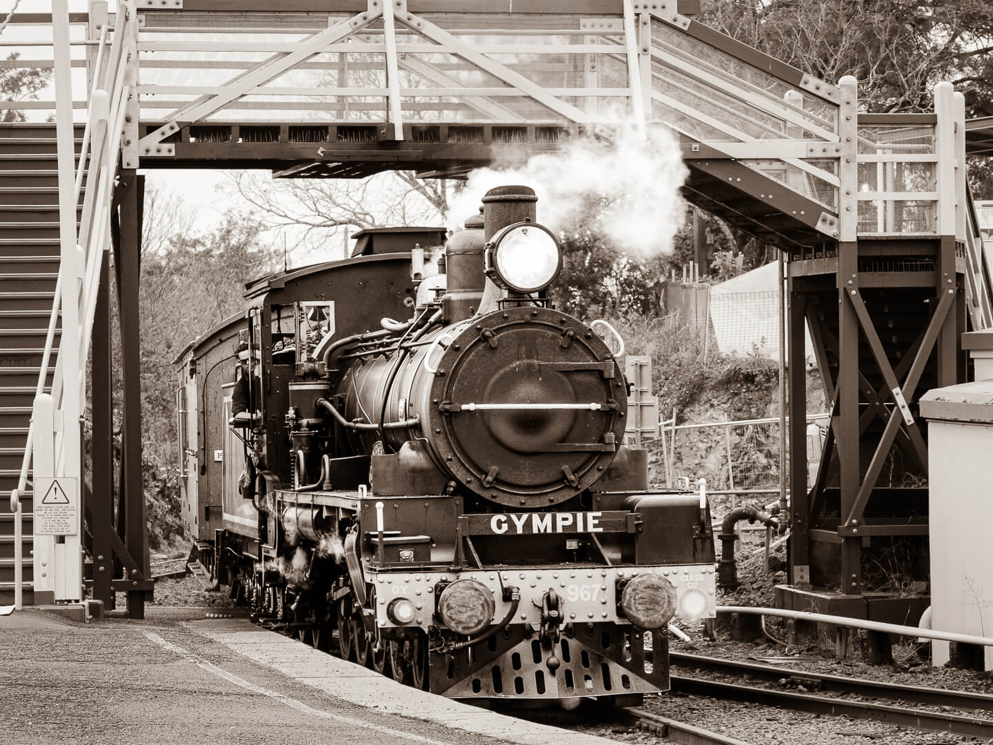 2nd For Print The Mary River Rattler Returns By Hector Beveridge