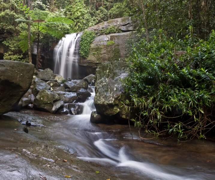 Merit For Buderim Falls By Michael Mitchell