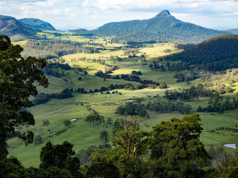 Merit For Digital Lookout To Mt Warning By Hazel Sempf