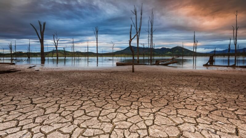 Merit For Print Lake Edge By Bruce McDonald