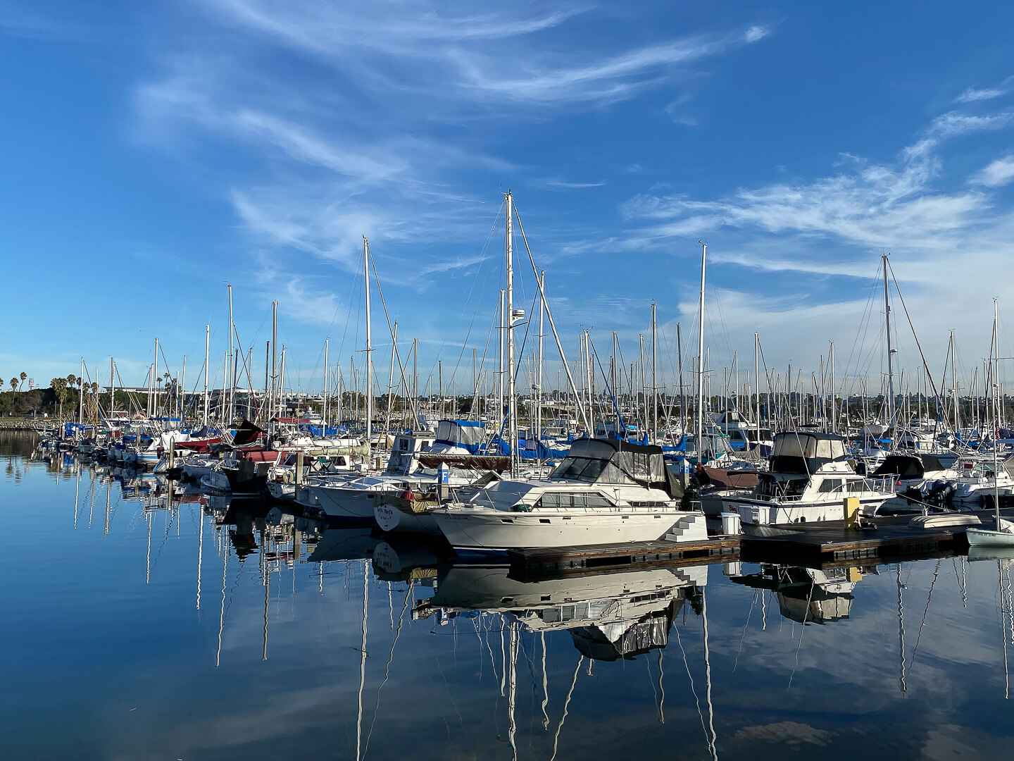 Merit For Digital A Crowded Marina By Swarna Wijesekera