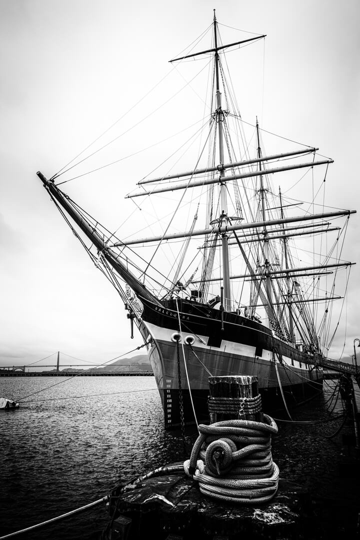 Merit For Digital Balclutha By Dorothy Hurdle