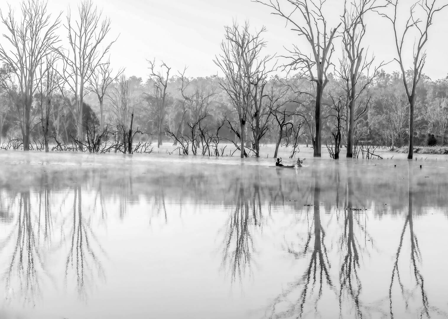 Merit For Digital In The Early Morning By Shuying Jiang