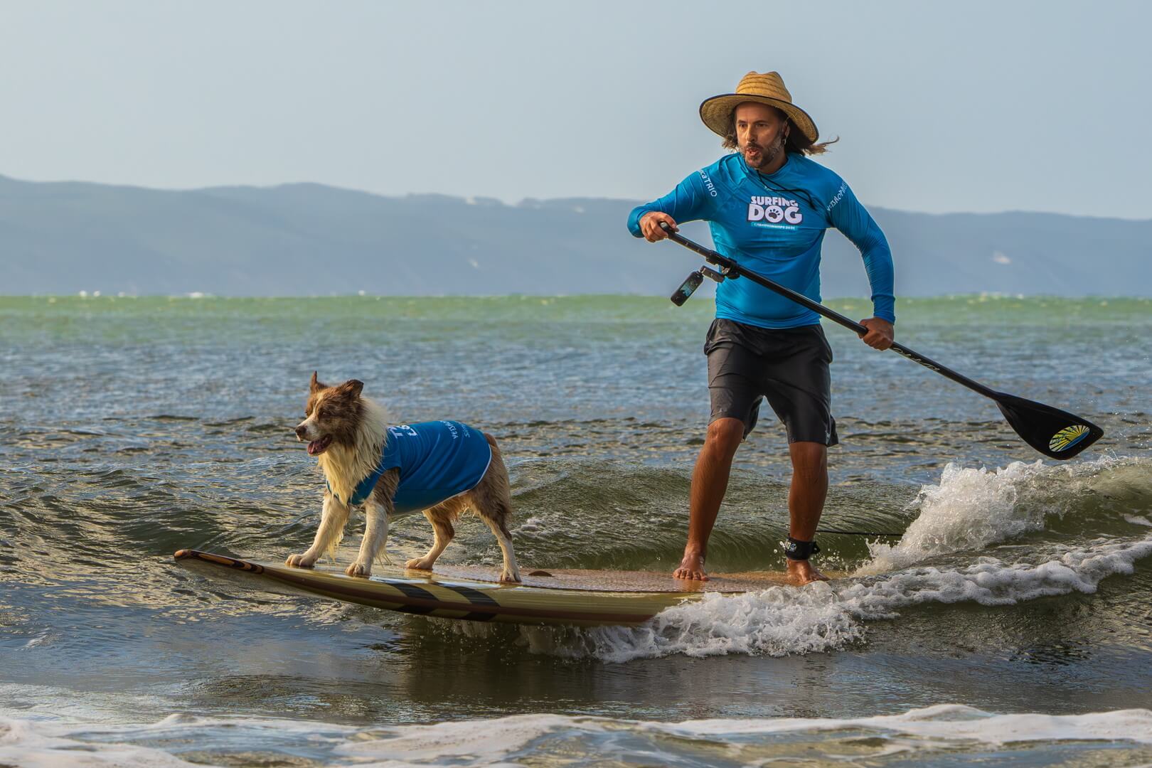 Merit For Digital Surfing Dog Attitude By Rose Parr