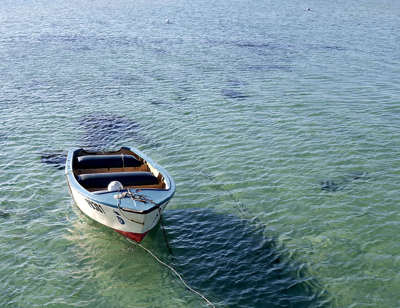 Merit For Print Lonely Skiff By Wendy Buick