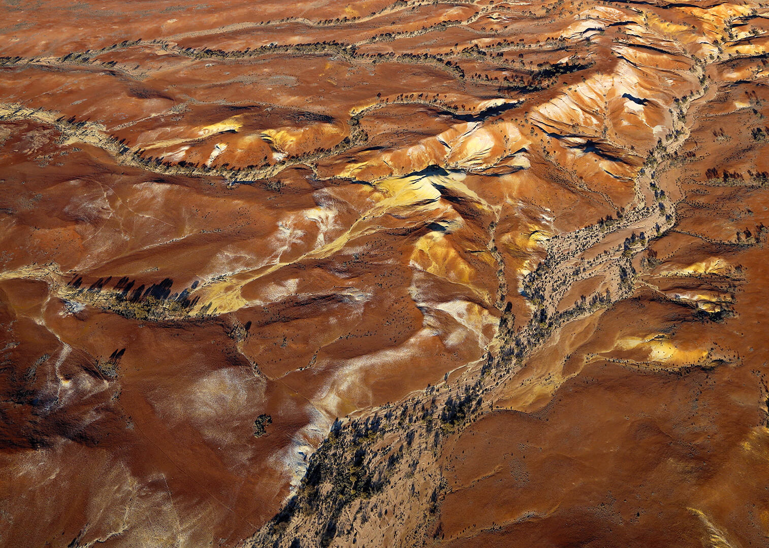 Honour For Digital Painted Hills Dry Gullies By Ann Smallegange