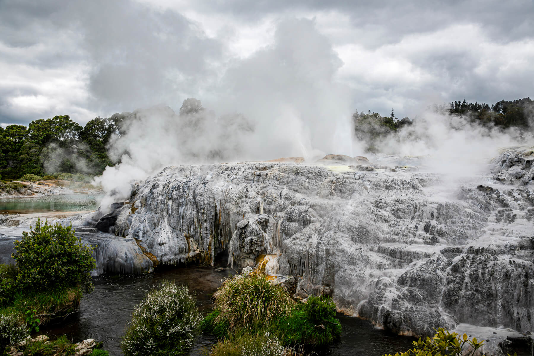Honour For Digital Rotorua Thermal Springs By Hazel Sempf