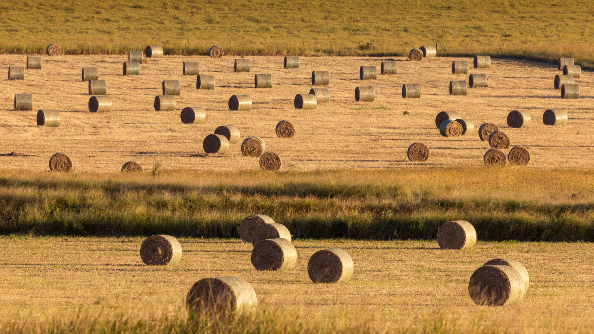 Honour For Digital Winter Feed By John Dalton