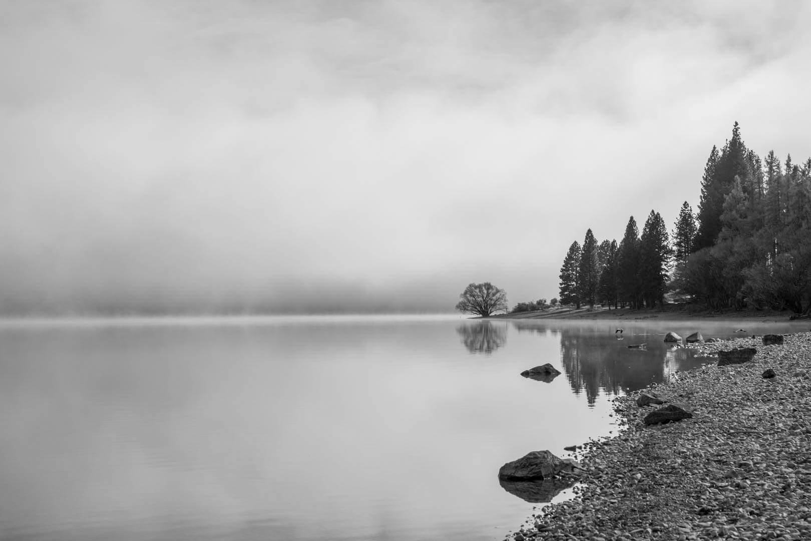 Honour For Print FOG IS LIFTING By Gwenda Kruger