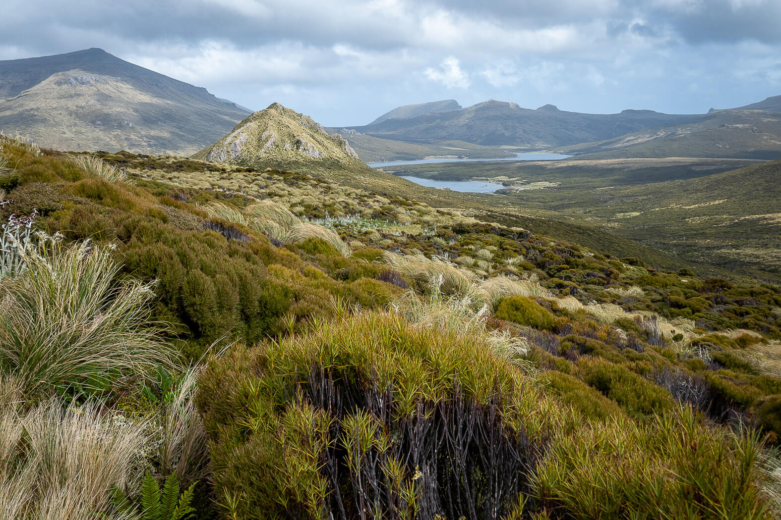 Merit For Digital Walk To Pumice Hill By Susan Chisholm