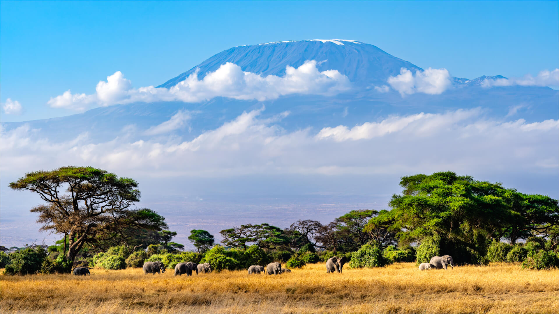 Merit For Print Morning Stroll To The Wetland By Chris Seen