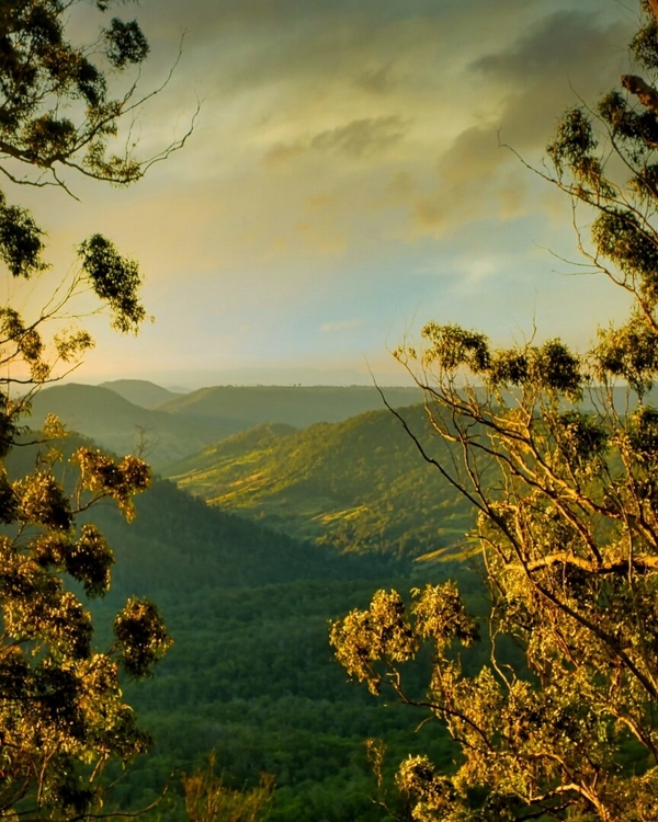 Honour For Print Binna Burra Sunset DSCF5253 19 6 2021, 06 40 48 By Robert Vallance