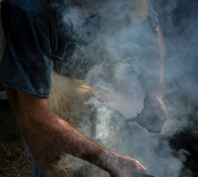 Merit For Farrier At Work By Bruce Martin