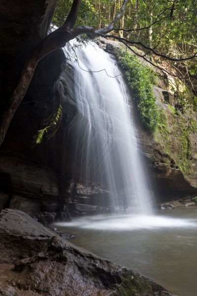Merit For Under Buderim Falls By Michael Mitchell