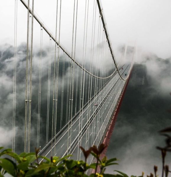 Honour For Bridge In The Air By Shuying Jiang