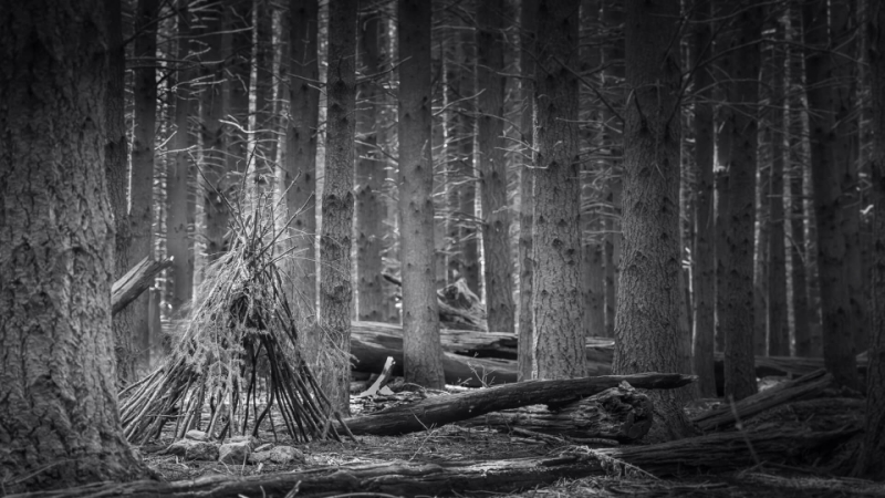 Honour For Sticks By Michael Keenan