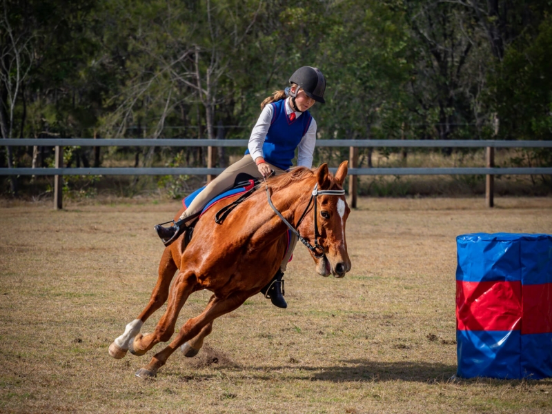 Honour For Rounding The Barrel By Gary Silk