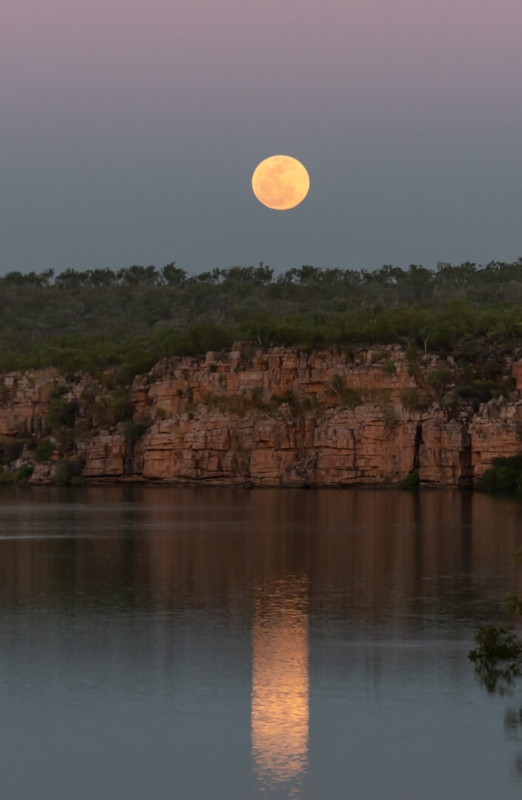 Honour For Song Moon River By Susan Chisholm