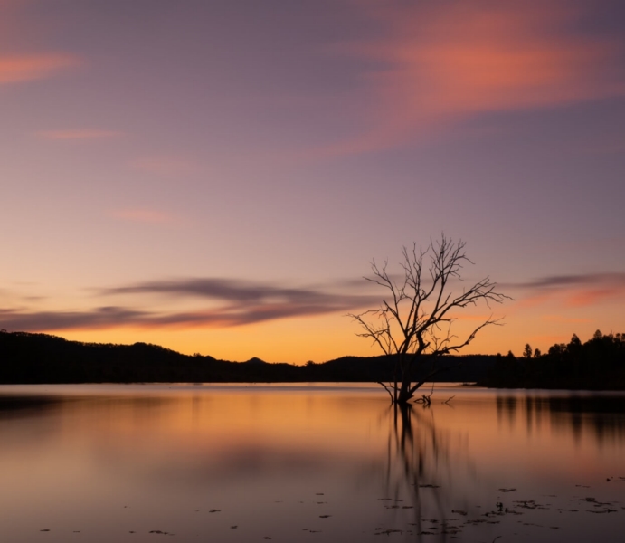 Honour For Sunset At Wyaralong By Dorothy Harkins