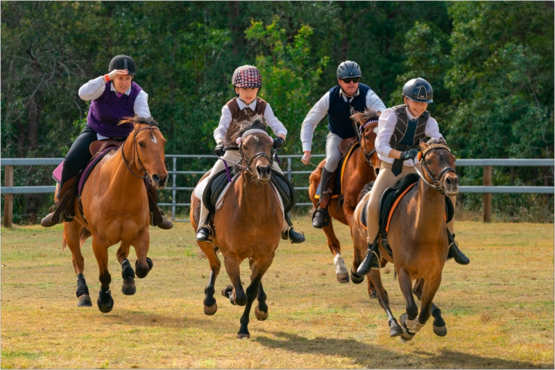 Honour For The Horses By Daryl Braithwaite By Chris Seen