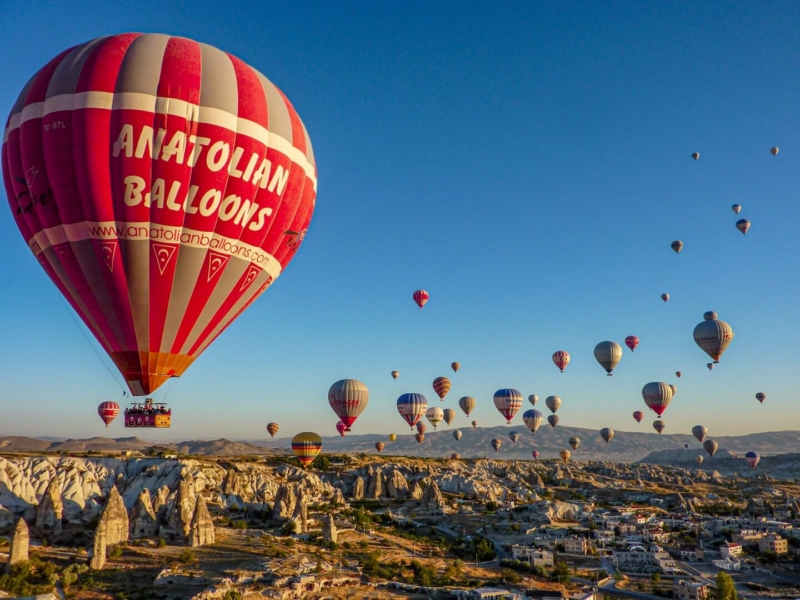 Honour For Up, Up And Away By Dorothy Harkins