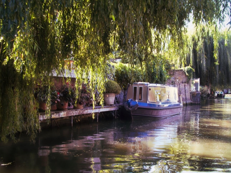 Merit For Little Venice By Robert Vallance