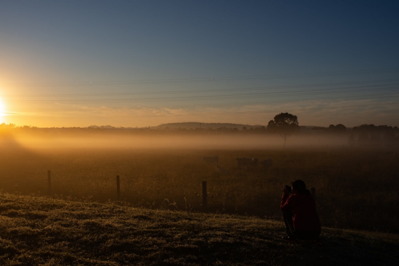 Merit For Morning Has Broken By Sharon Puata Puata