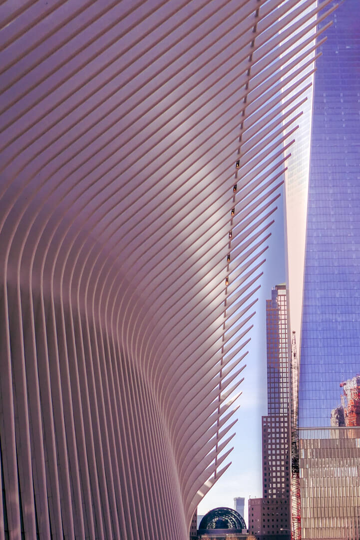 Honour For Print New York Trade Centre By Margareta Dewilde