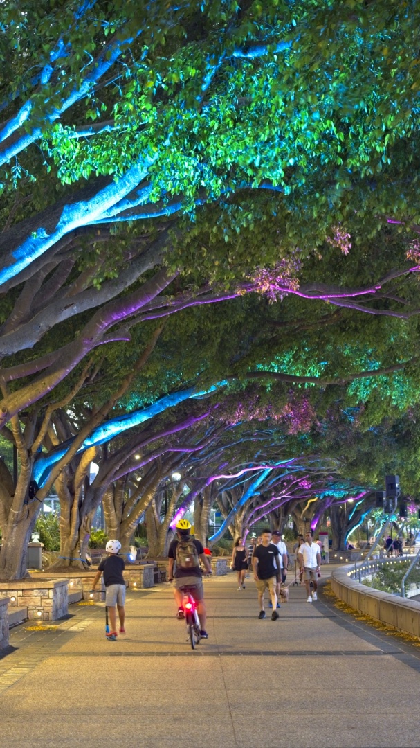 Honour For Colour Canopy By Margaret Duncan