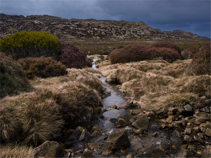 Merit For Print Alpine Plateau By Paul MacKay