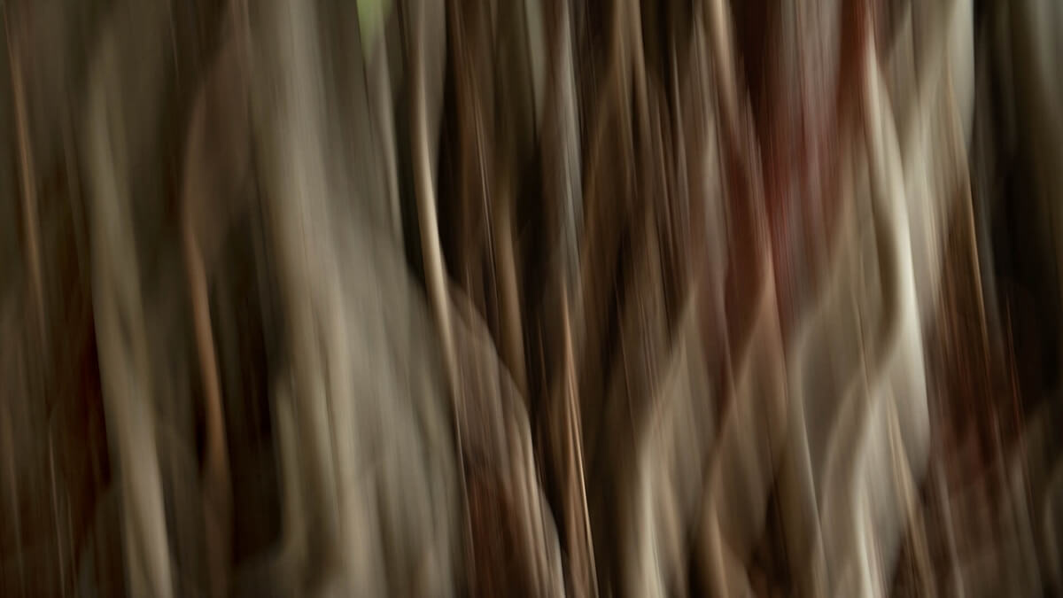 Merit For Print Motion Blur By Janet Richardson