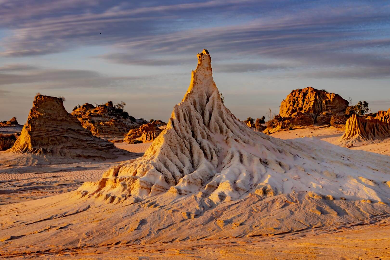 Honour For Digital Shaped By Nature By John Langer