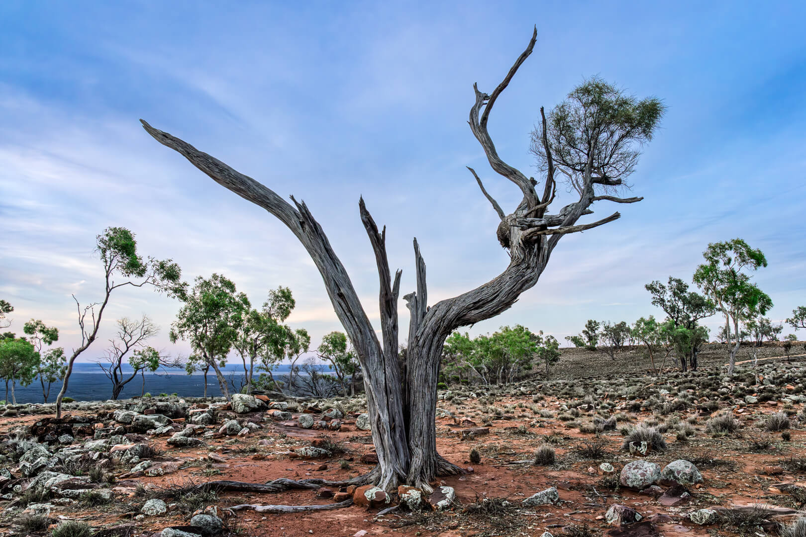 Merit For Digital Sculpted By Nature By Dorothy Hurdle