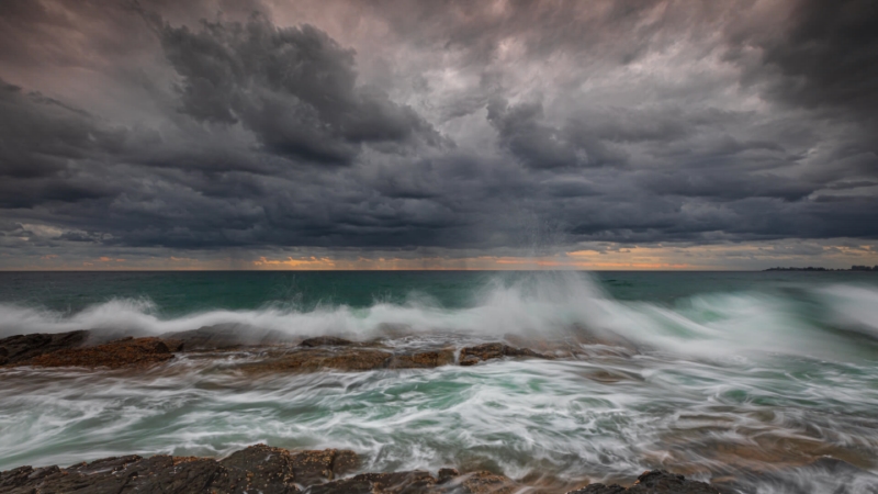 Honour For Moody Morning By Bruce McDonald