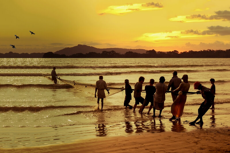 Merit For Fishing Net In Sri Lanka By Sam Fernando