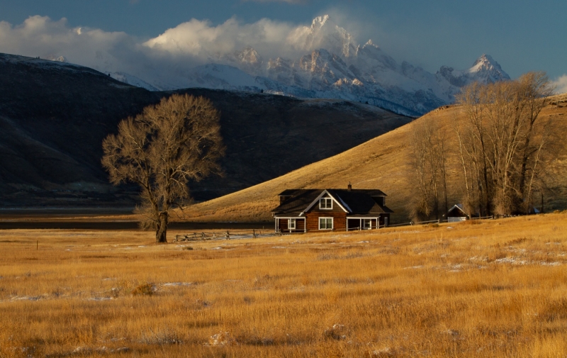 Honour For Country Home By Jan Sharples