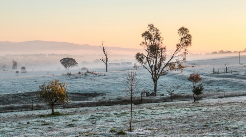 Honour For A New Day By Peter Varley