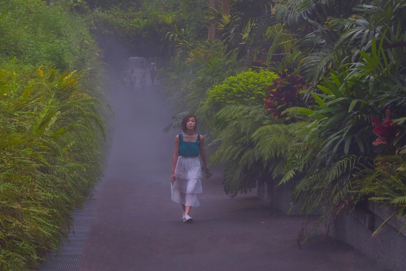 Merit For Footpath In Taiwan By Sam Fernando