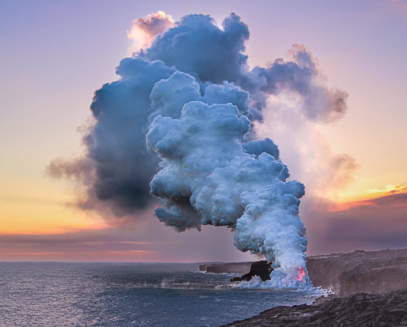 Merit For Print Nature At Work By John Langer