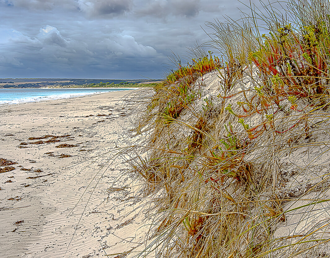 Merit For Print Summer Storm By Wendy Buick