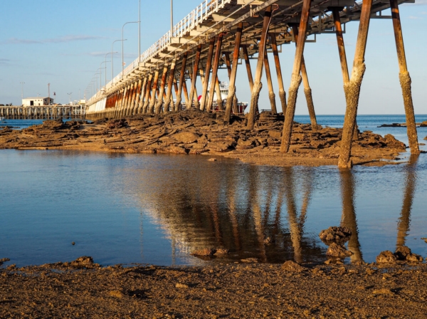 Honour For Broome Jetty By Christine Jull