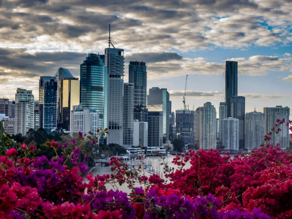 Merit For Colourful Cliffs Framing The City By Dorothy Harkins