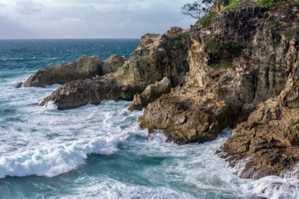 Merit For The Rock By Susan Chisholm