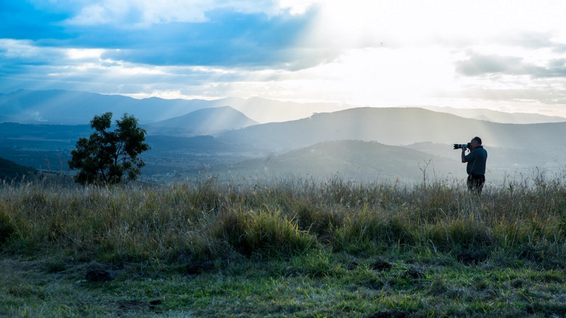 Merit For Digital Boonah Moods By Ian Hunter