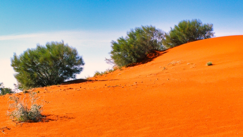 Merit For Digital Digital Big Red Birdsville,P5300026a By Robert Vallance