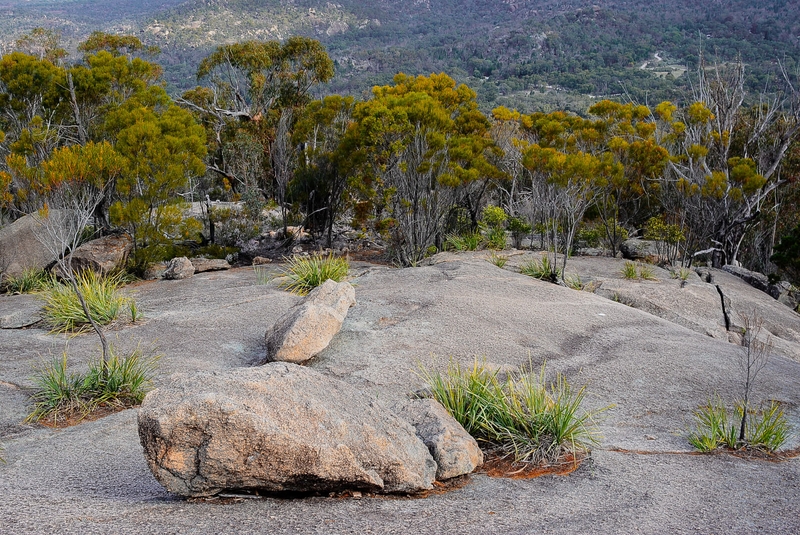 Merit For Print Last Light Over Granite Land By 52