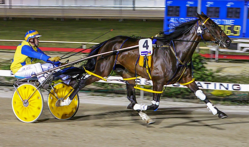 Honour For A Moonee Valley Win  By Peter Varley