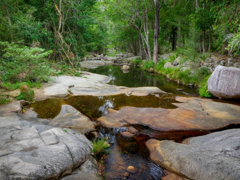 Merit For Cedar Creek By Dorothy Harkins